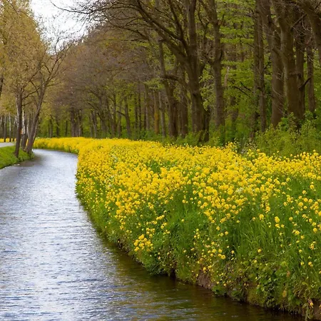 Garner Sued By Ihg 콧부스