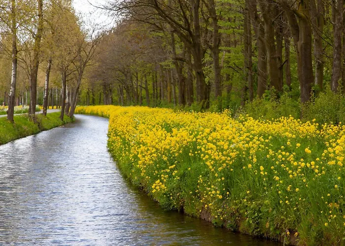 Garner Sued By Ihg Cottbus